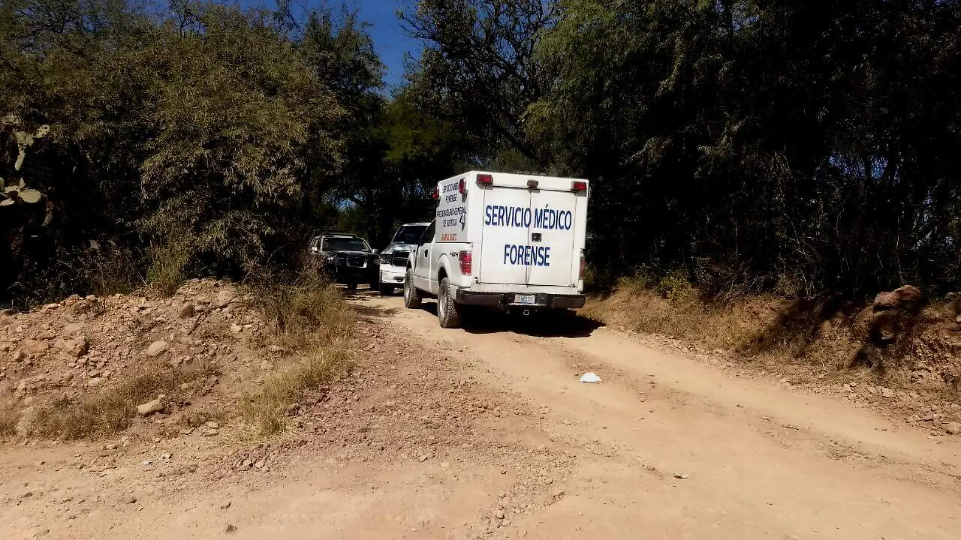 el servicio medico forense llego al sitio ok